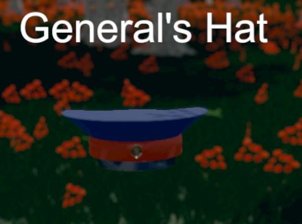 Скриншот из Hide and Seek - General's Hat