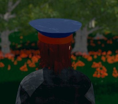 Скриншот из Hide and Seek - General's Hat