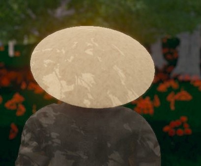 Скриншот из Hide and Seek - Rice Hat