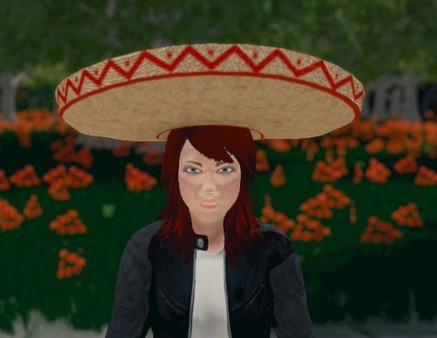 Скриншот из Hide and Seek - Sombrero