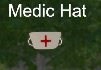 Скриншот из Hide and Seek - Medic Hat