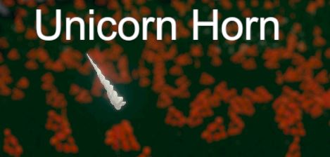 Скриншот из Hide and Seek - Unicorn Horn