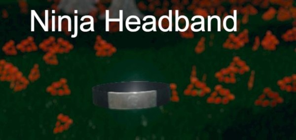 Скриншот из Hide and Seek - Ninja Headband