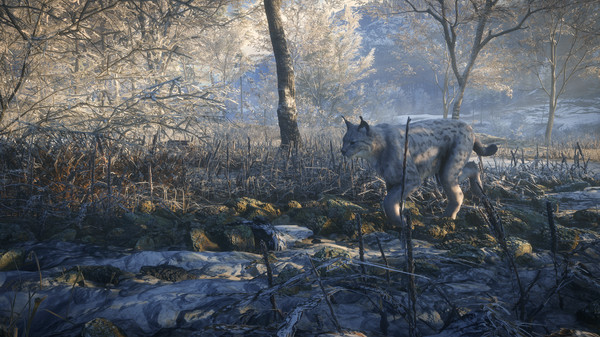 Скриншот из theHunter: Call of the Wild™ - Medved-Taiga