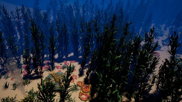 星球之间/Between Planetsfor windows and Linux 1