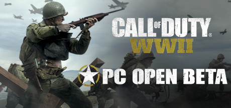 Call of Duty: WWII - PC Open Beta cover art
