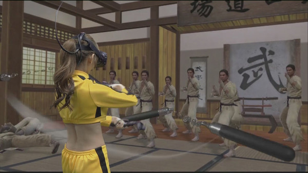 Kung Fu All-Star VR game for Linux 1