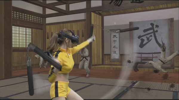 Kung Fu All-Star VR for linux