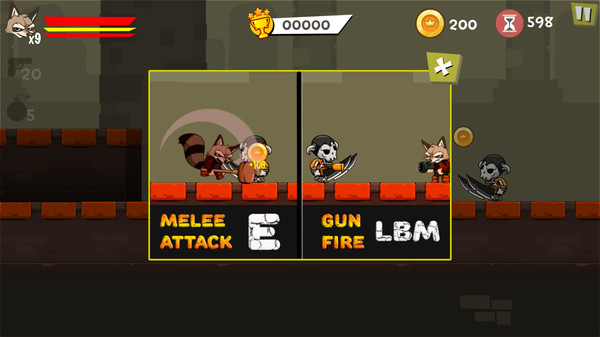 Combat Raccoon