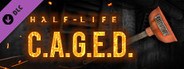 Half-Life: C.A.G.E.D. - Executive Plunger