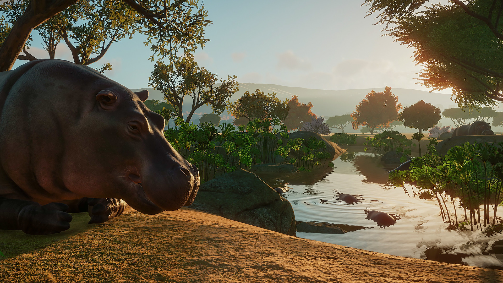 Planet Zoo Images 