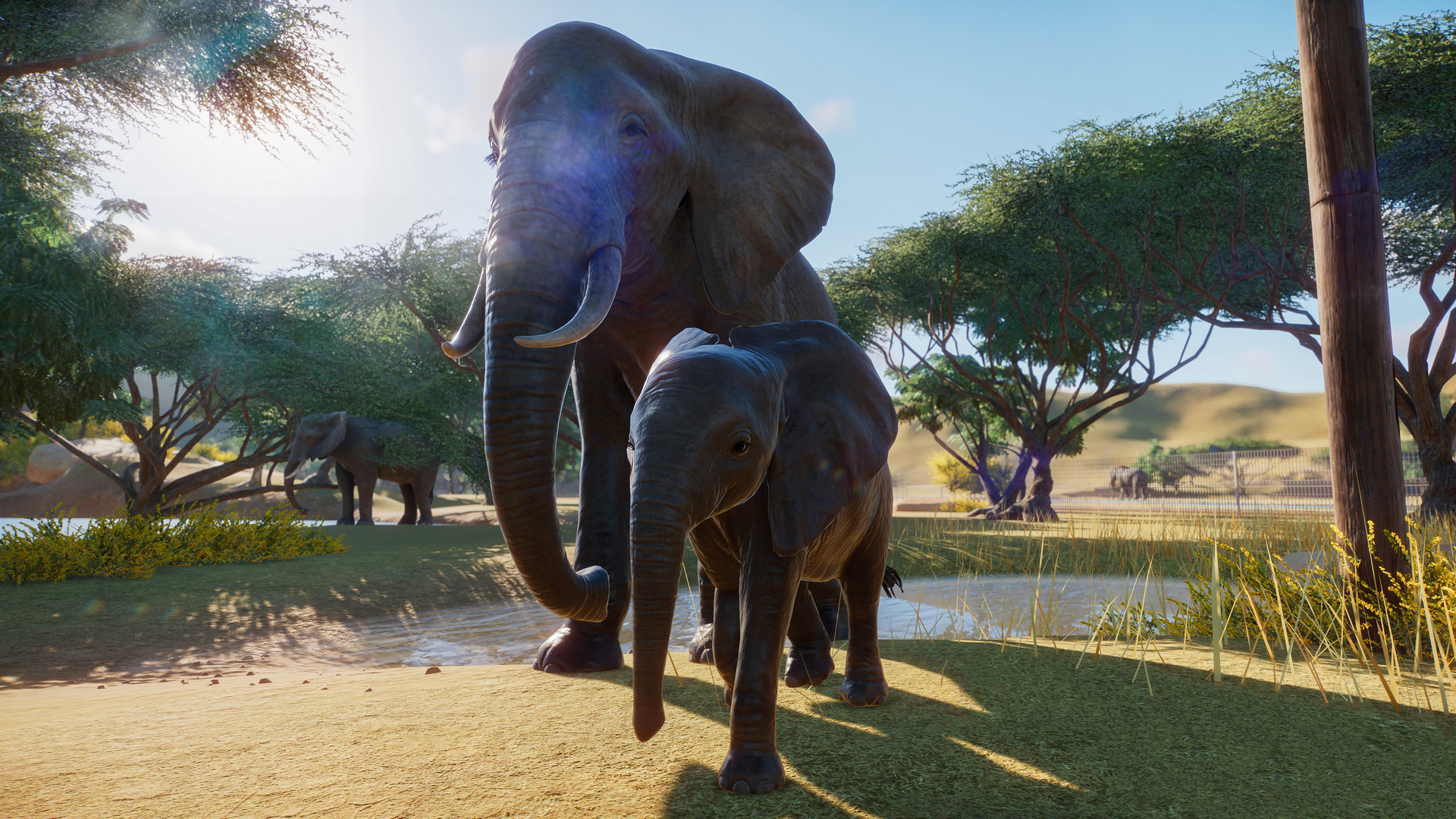 Pre-purchase Planet Zoo on Steam