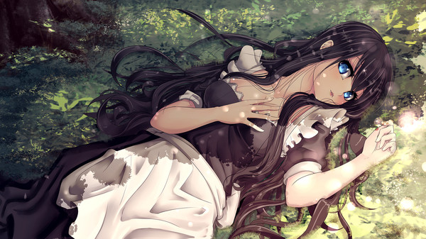 Скриншот из Elisa: Seduce the Innkeeper