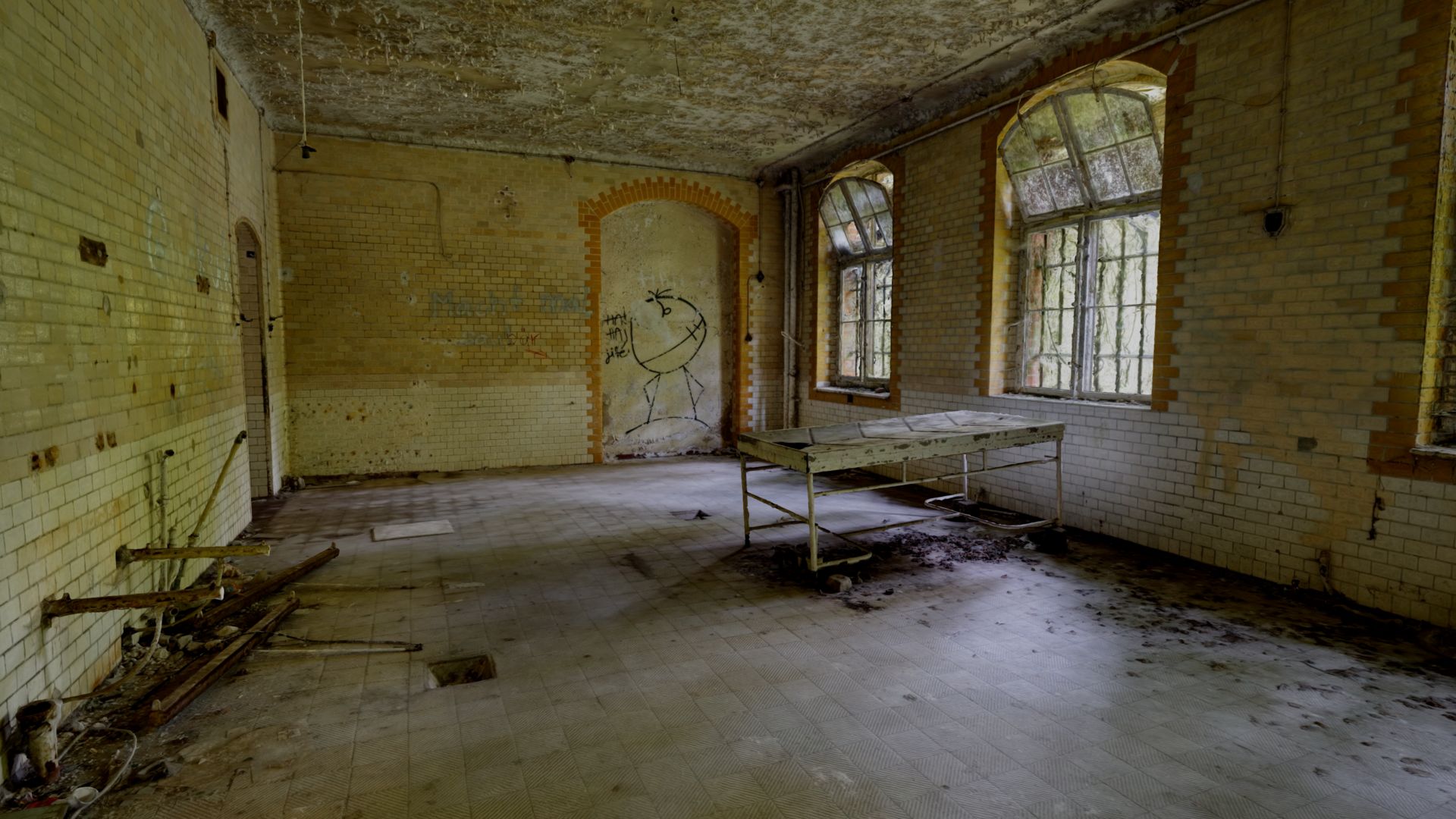 Single beelitz