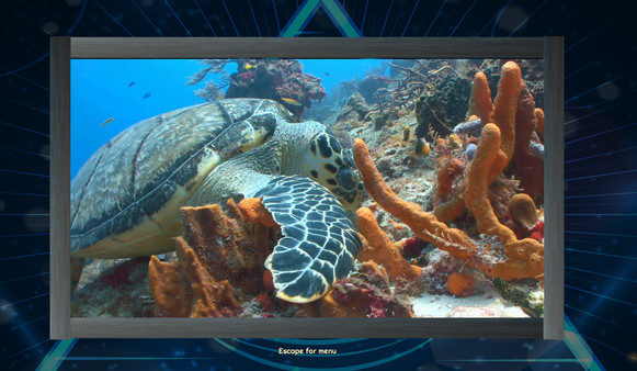 Trials of the Illuminati: Animated Sea Creatures Jigsaws recommended requirements