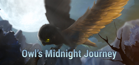 Owl's Midnight Journey cover art