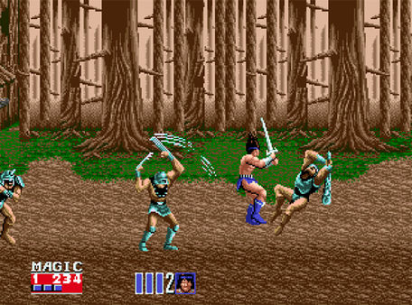 Golden Axe II requirements