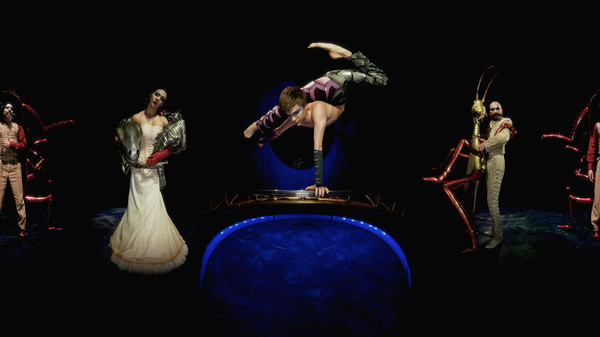 Cirque du Soleil requirements