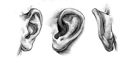Portrait Drawing Fundamentals Course: How to Draw Ears – Anatomy and Structure cover art