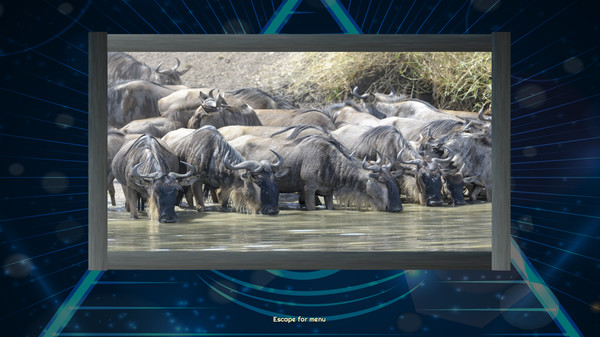 Скриншот из Trials of the Illuminati: Amazing Wildlife Jigsaws