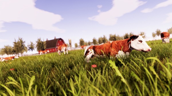 Скриншот из Real Farm - Soundtrack