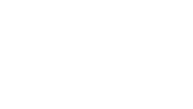 VOID Logo