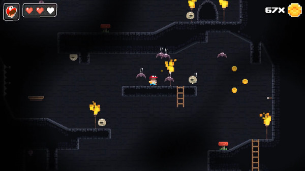 Super Dungeon Boy screenshot