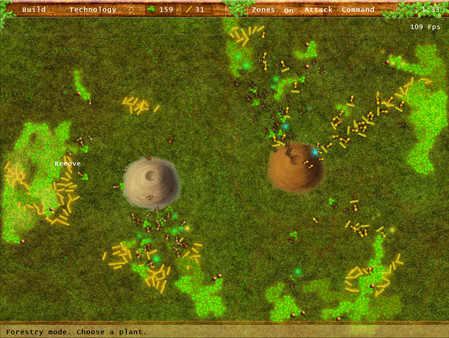 Colonyfor windows and Linux 1