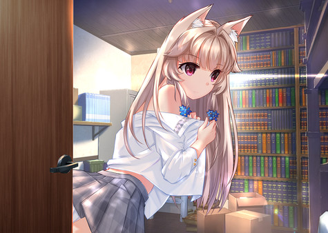 Fox Himefor windows and Linux 1