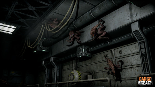 Cargo Breach for linux