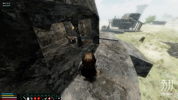 3571 The Gamefor windows and Linux 1