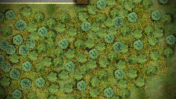Скриншот из Battlegrounds2D.io