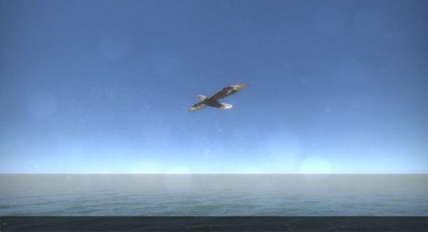 Age of seas for linux