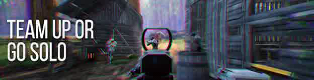 TeamUpOrGoSolo.png?t=1531421630