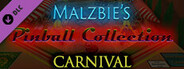 Malzbie's Pinball Collection - Carnival Table