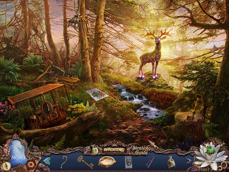 Скриншот из Witch Hunters: Full Moon Ceremony Collector's Edition