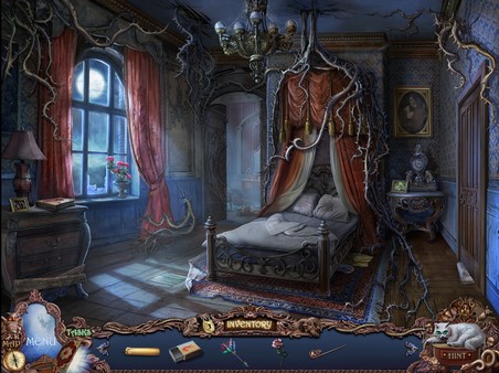 Скриншот из Witch Hunters: Full Moon Ceremony Collector's Edition