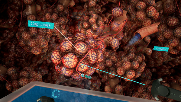 Sharecare VRfor windows and Linux 1