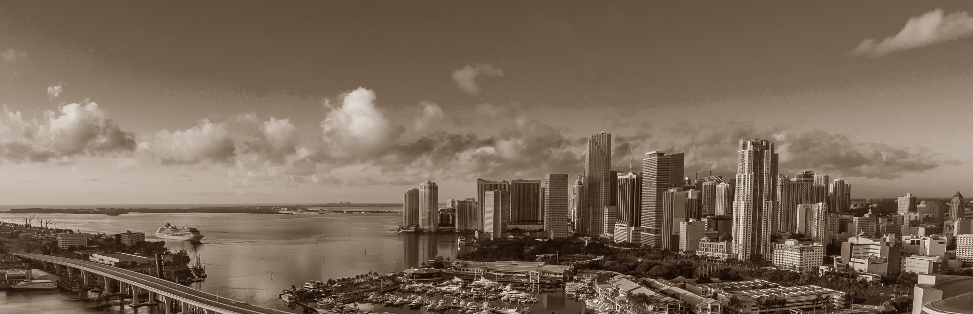 Government Simulator