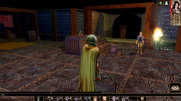 Скриншот из Neverwinter Nights: Enhanced Edition Infinite Dungeons