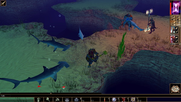 Скриншот из Neverwinter Nights: Enhanced Edition Pirates of the Sword Coast