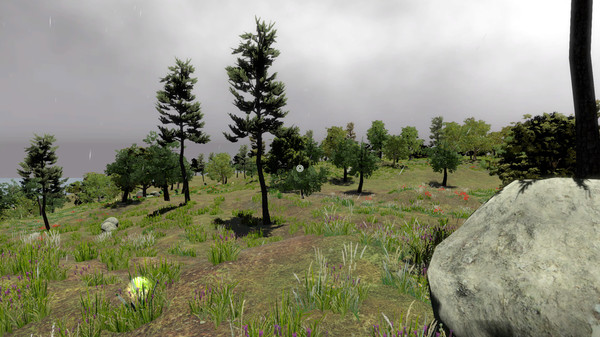 Скриншот из Survivor of Eschewal