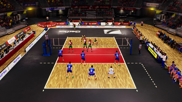 Spike Volleyball minimum requirements