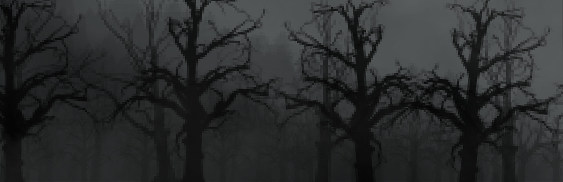 Choo-Choo! The Train Rides!