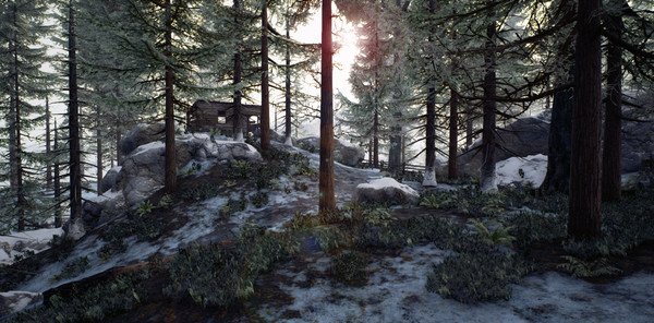 The Survivors for linux