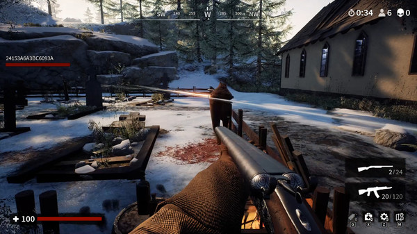 The Survivorsfor windows and Linux 1