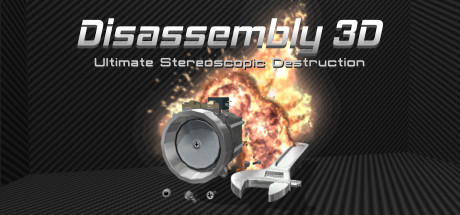 Disassembly 3D cover art