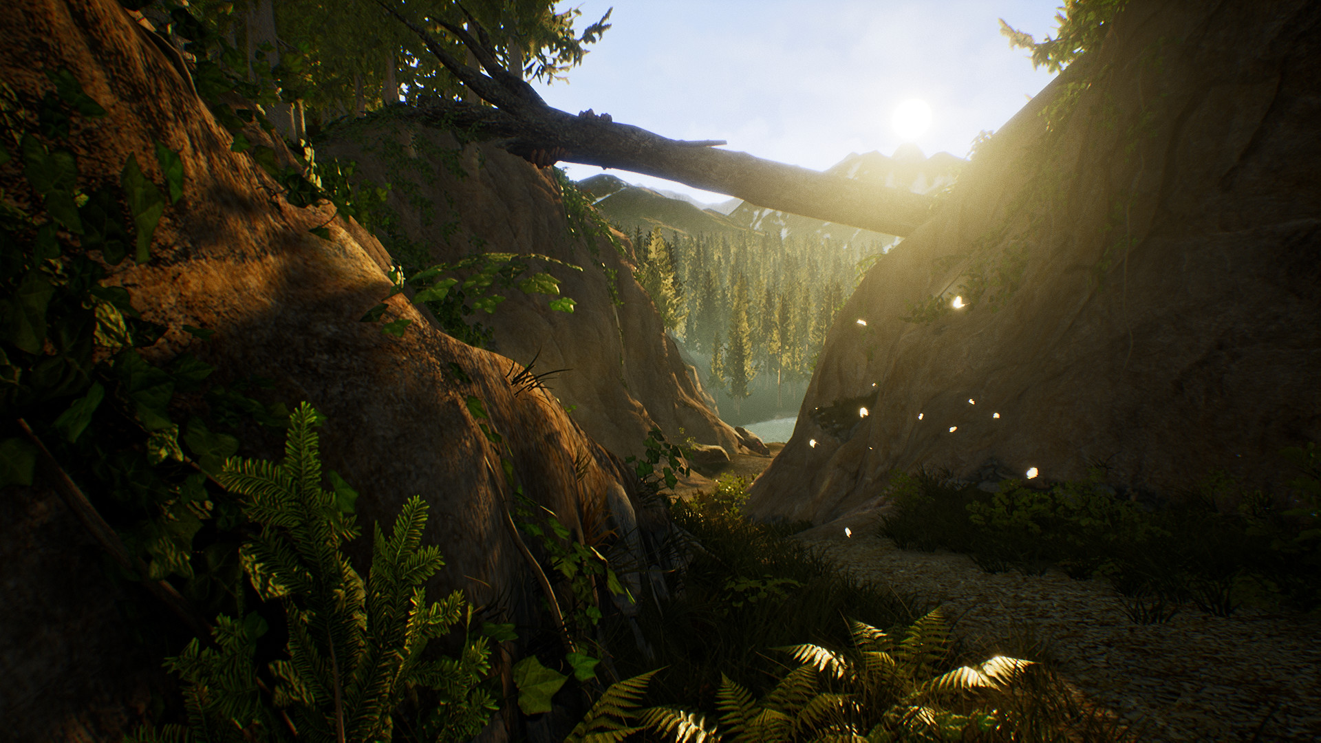 Treasure Hunter Simulator Crack Download