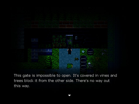 One Night game for Linux 1