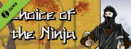 Choice of the Ninja Demo